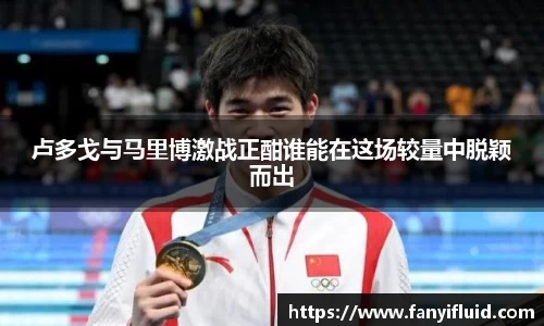 卢多戈与马里博激战正酣谁能在这场较量中脱颖而出